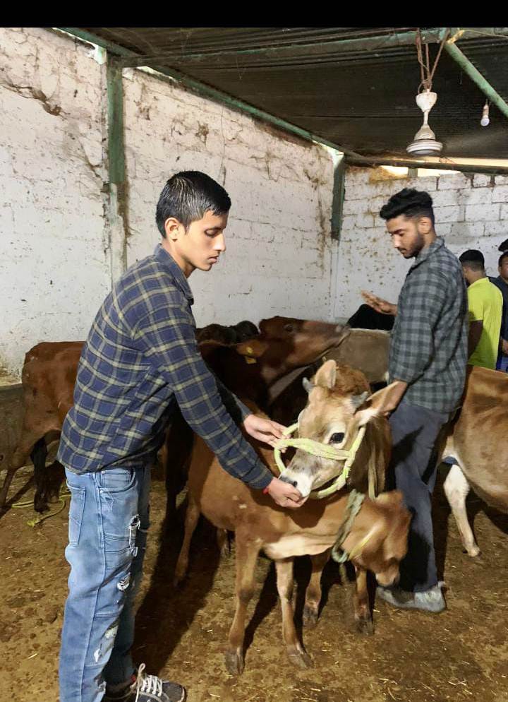 SSV Institute of Veterinary Pharmacist, Practical Exposure